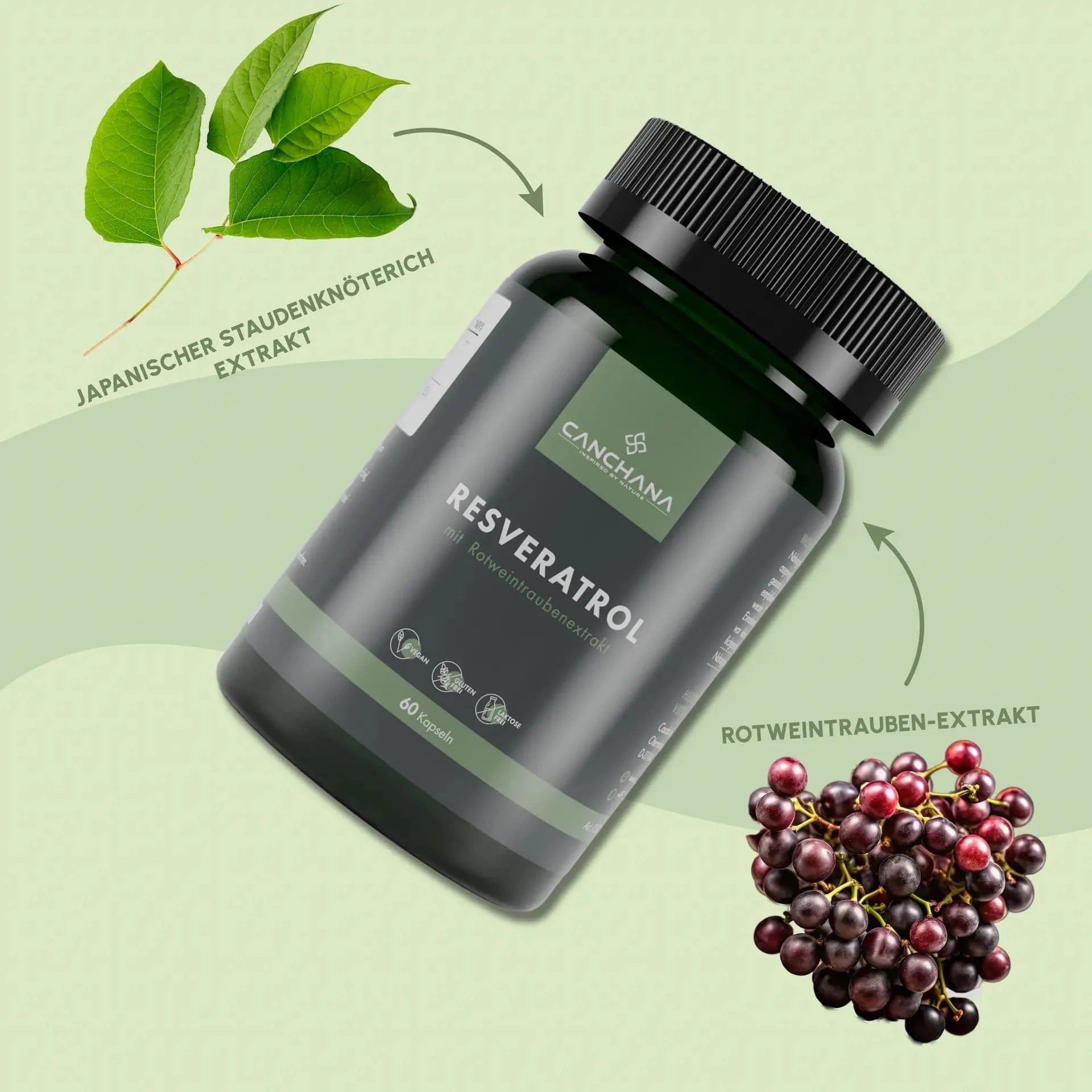 Resveratrol