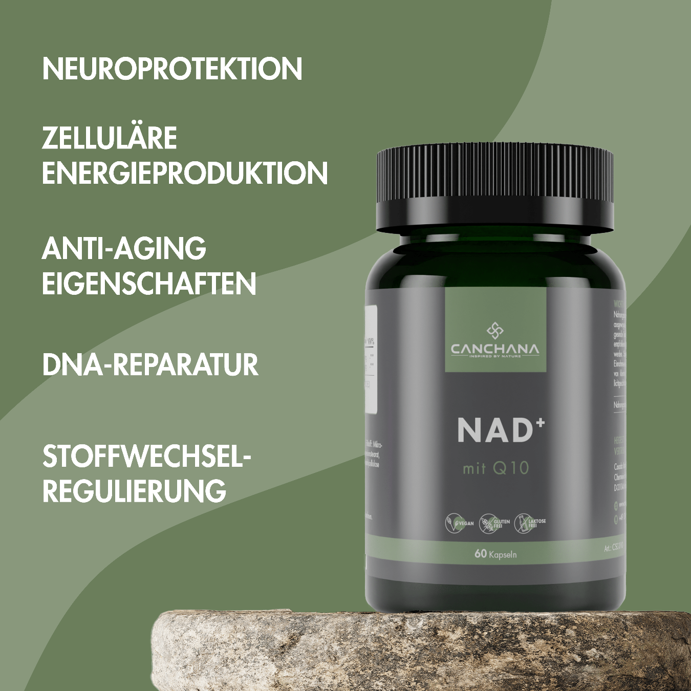 Lebens-Energie & Wohlbefinden