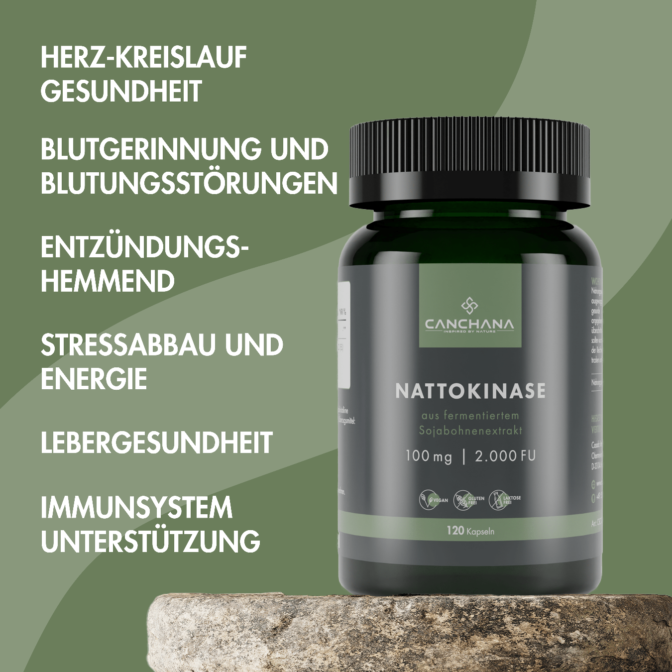 Herz-Kreislauf Balance