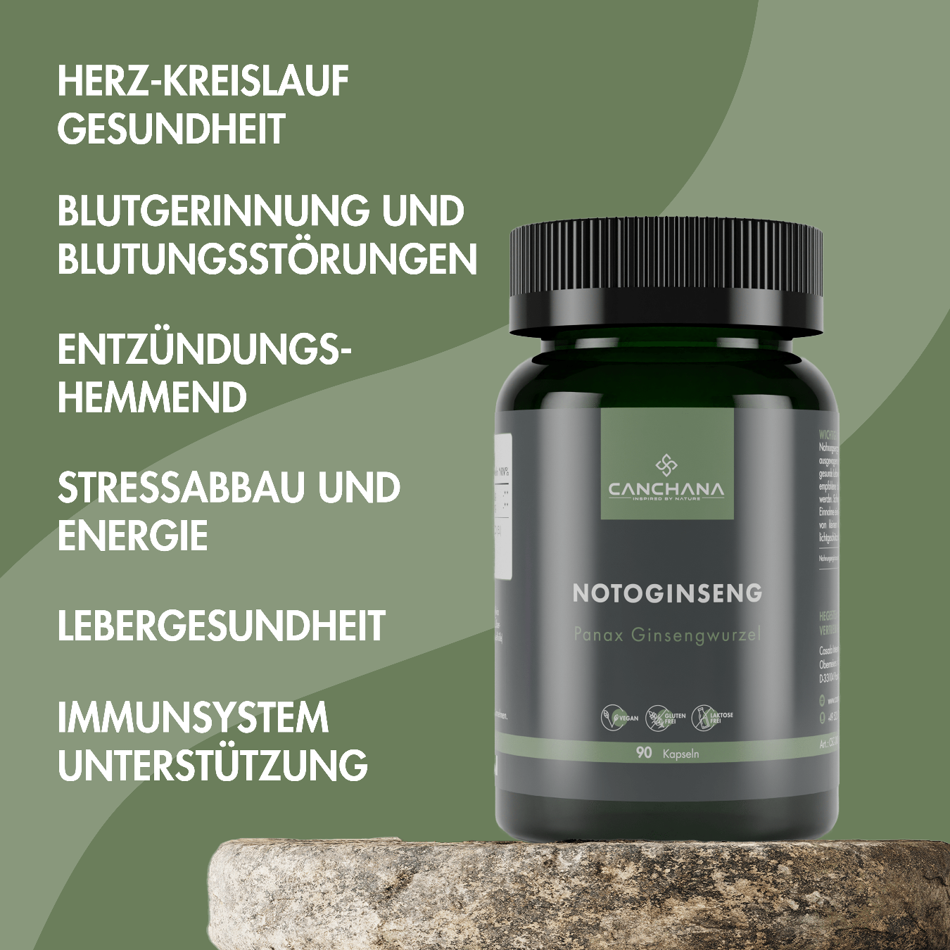 Lebens-Energie & Wohlbefinden