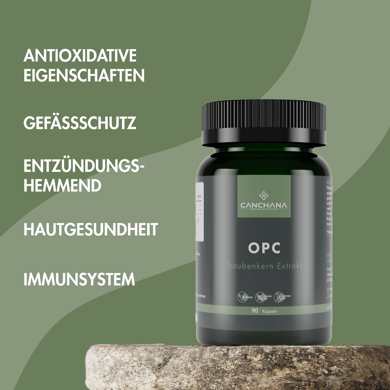 Herz-Kreislauf Balance