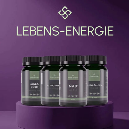 Lebens-Energie &amp; Wohlbefinden