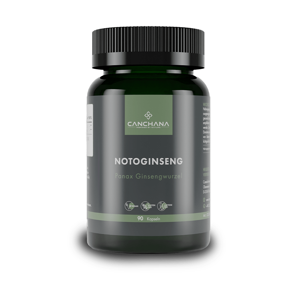 Notoginseng