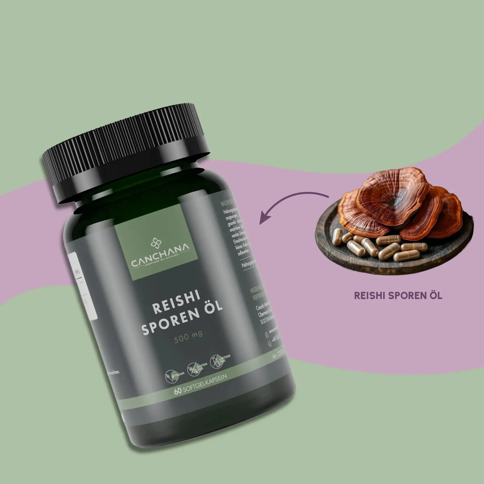 Reishi Sporen Öl