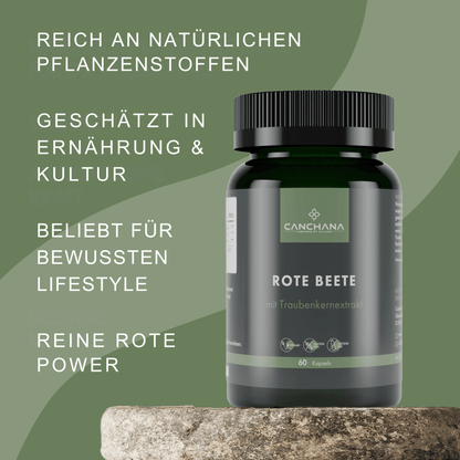 Innere Balance &amp; Stoffwechsel