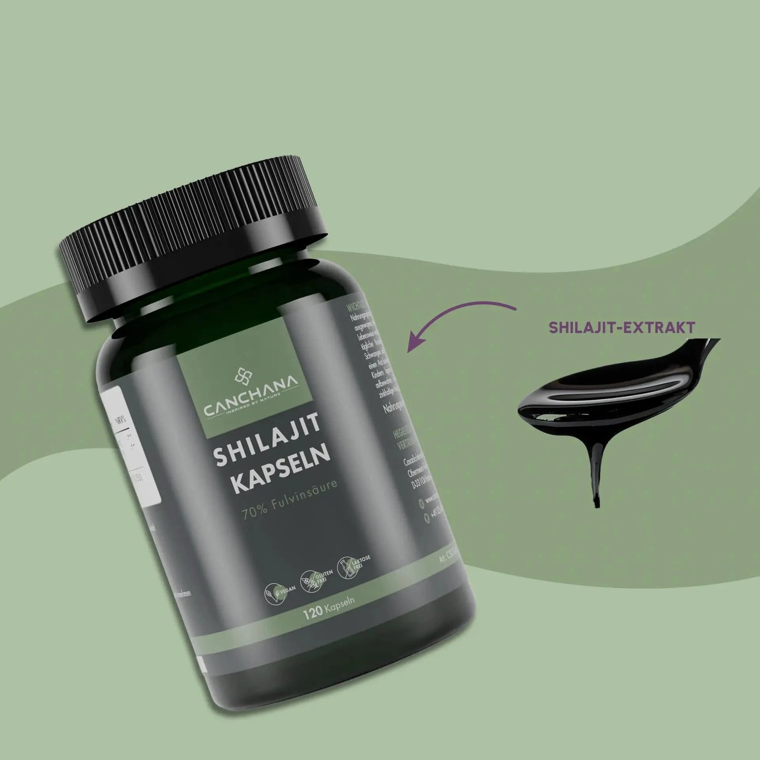 Shilajit Kapseln
