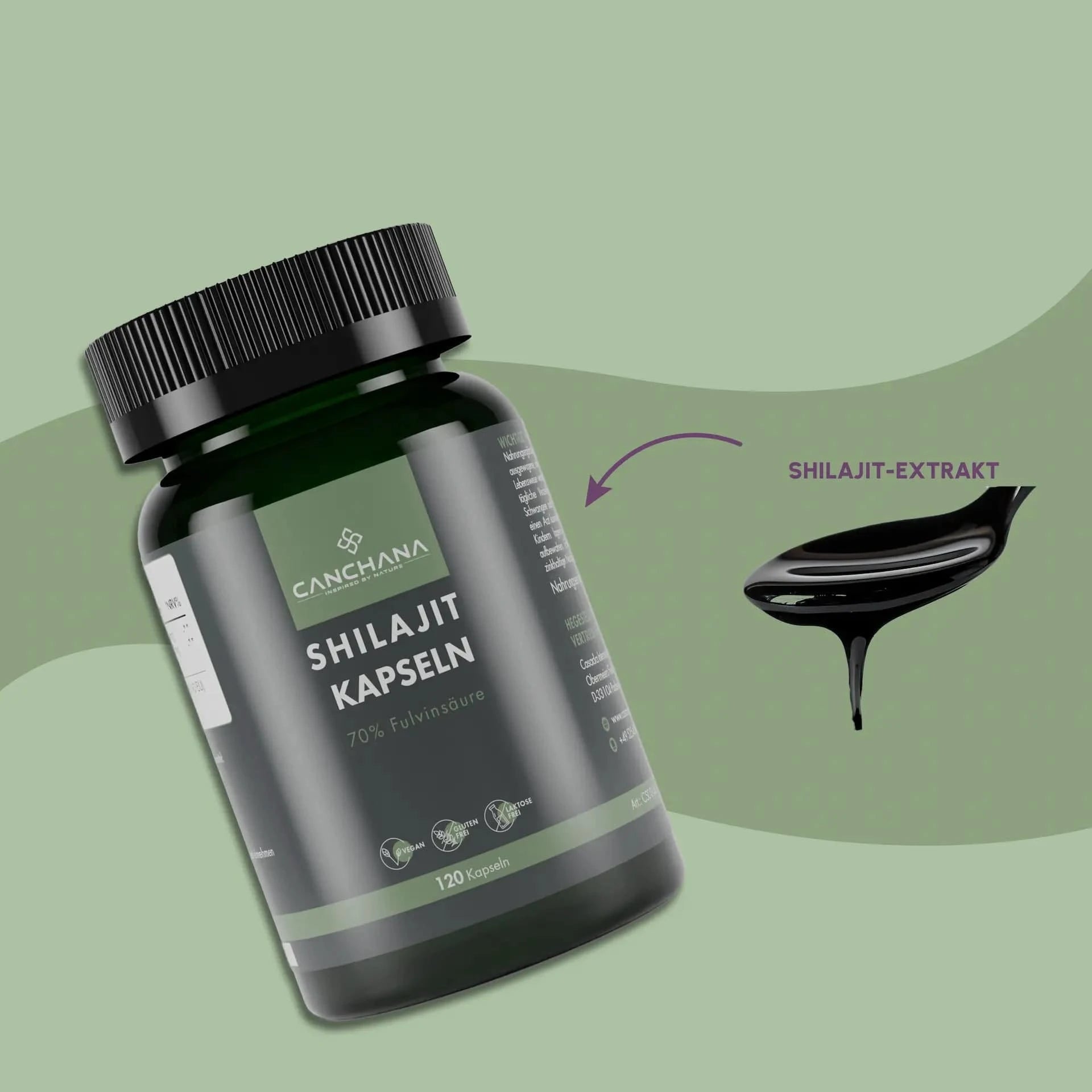 Shilajit Kapseln