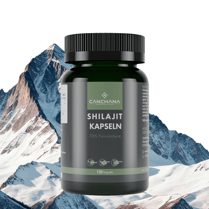 Shilajit Kapseln