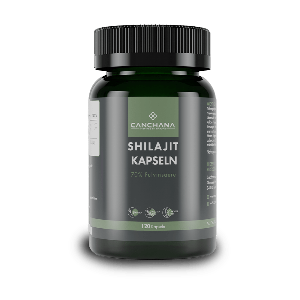Shilajit Kapseln