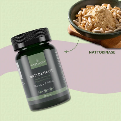 Nattokinase 2000 FU