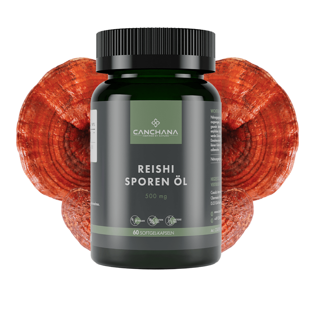 Reishi Sporen Öl
