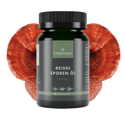 Reishi Sporen Öl