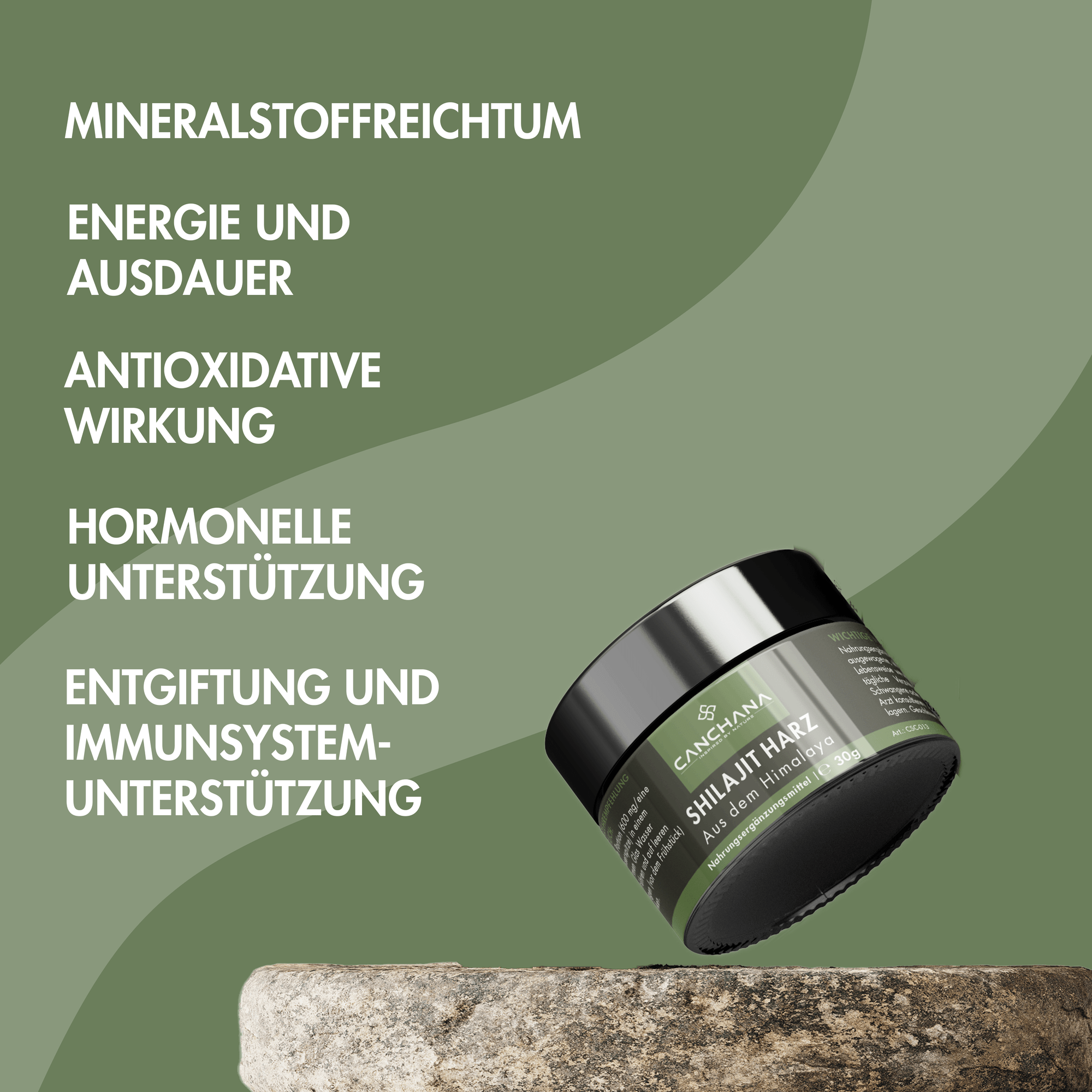 Herz-Kreislauf Balance